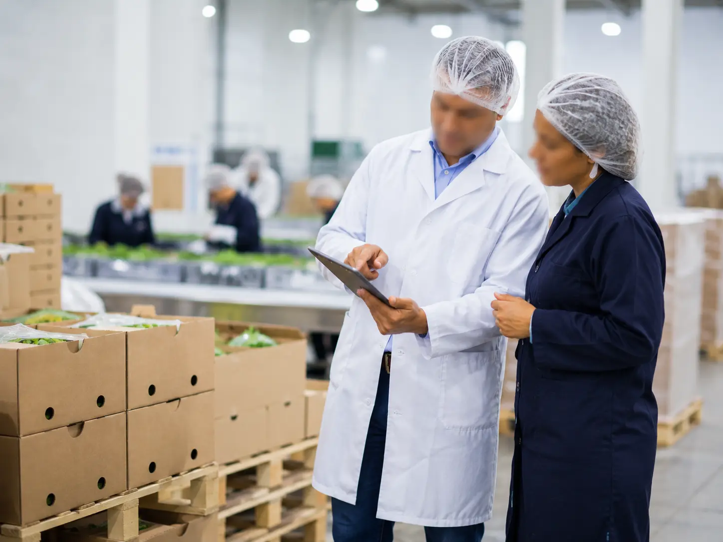 Cabinet de certification ECOCERT Agilion Quality accompagnant une entreprise vers l'export bio